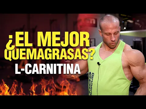 Download MP3 ✅ Todo sobre la L-CARNITINA ¿Es el mejor 🔥QUEMAGRASAS?