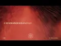 Sarz - Happiness feat. Asake, Gunna (Official Visualizer)