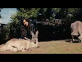 Download Lagu Camila Cabello - australia tour diaries ep 4 - surgery on pianina
