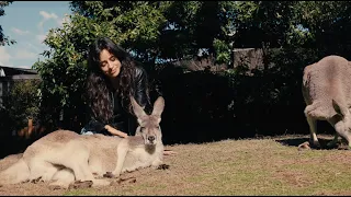 Camila Cabello - australia tour diaries ep 4 - surgery on pianina
