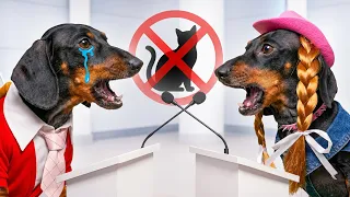 The Most Emotional Dog Debate You'll Ever See!