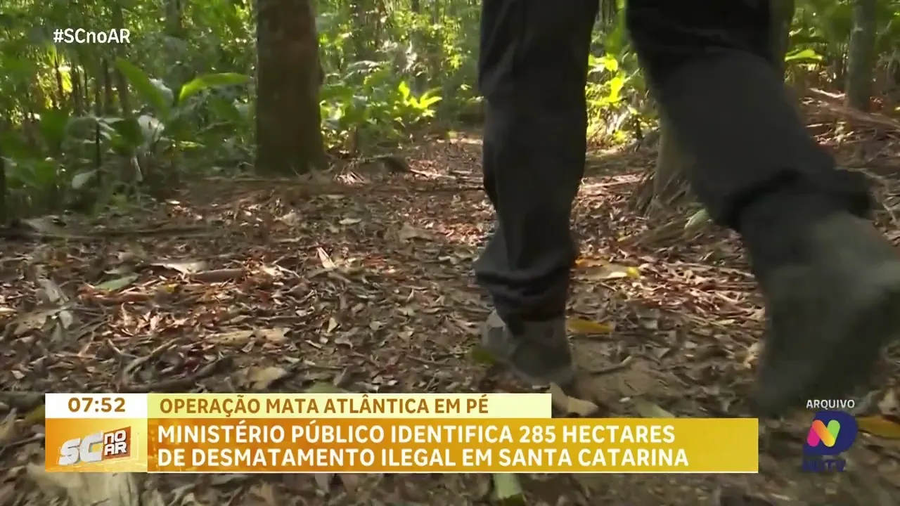 Ministério Público encontra 285 hectares de desmatamento ilegal em Santa Catarina