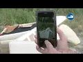 311 Direct App - Illegal Dumping