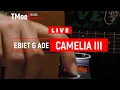 Download Lagu Totok Moe Live Acoustic Cover - Camelia 3 by Ebiet G Ade