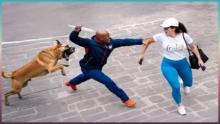 Leute, Die Sich Mit Den Falschen Wachhunden Angelegt Haben