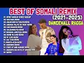 Download Lagu 🔥 BEST OF SOMALI SONGS VIDEO MIX (DANCEHALL RAGGA BEATS) EP#152 – FULL MIX 🔥