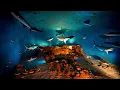 Ocean Isle Beach North Carolina Travel Guide Things to Do Dining Vacation Rentals Local Tips