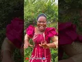 Lagu OBUGHI MMADU (COVER VIDEO) BY SIS NKECHI ABUGU