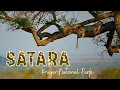 Download Lagu Kruger National Park's best area to see BIG CATS!