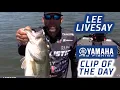 Yamaha Clip of the Day Livesay s upgrade to 42 pounds