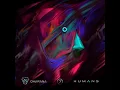 Download Lagu Dharana \u0026 Hypnotic Peafowl - Perfect Storm (with 4K visuals)