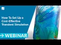 How To Set Up a Cost-Effective Transient Simulation