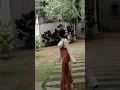 Download Lagu DJ Gada Waktu X Jadi Jamur By Dinar Chiki || Viral TikTok Terbaru 2023🔥