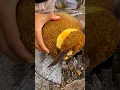 Download Lagu alat super tajam untuk membelah buah nangka #shorts