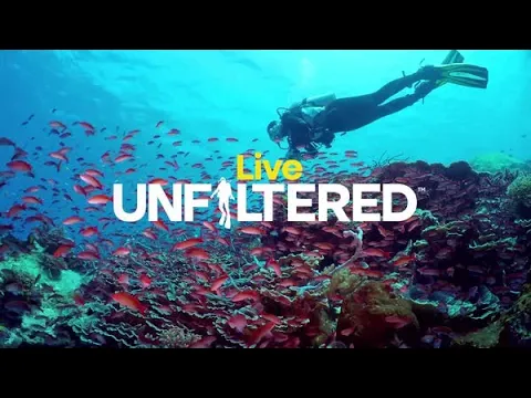 Download MP3 Learn To Dive - Live Unfiltered