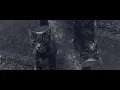 Rarelyalways - Caption (Official Video)