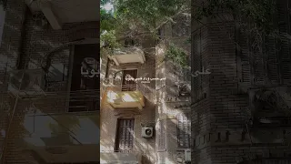 ضيعت عليه العمر يابويا    خالد الصيفي  عبدالحليم حافظ  على حسب وداد  العندليب  حالات واتس دندنها