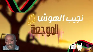 قناة ليبيا الفن ريقي ليبي نجيب الهوش الموجعة 