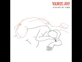 I'm with You - Vance Joy