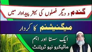Importance and Role of Magnesium in Field crops Production || Crop Reformer