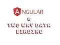 Angular 6 Two Way Data Binding