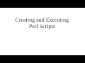 Creating and Executing Perl Scripts