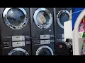 Jenny is live in laundry shop