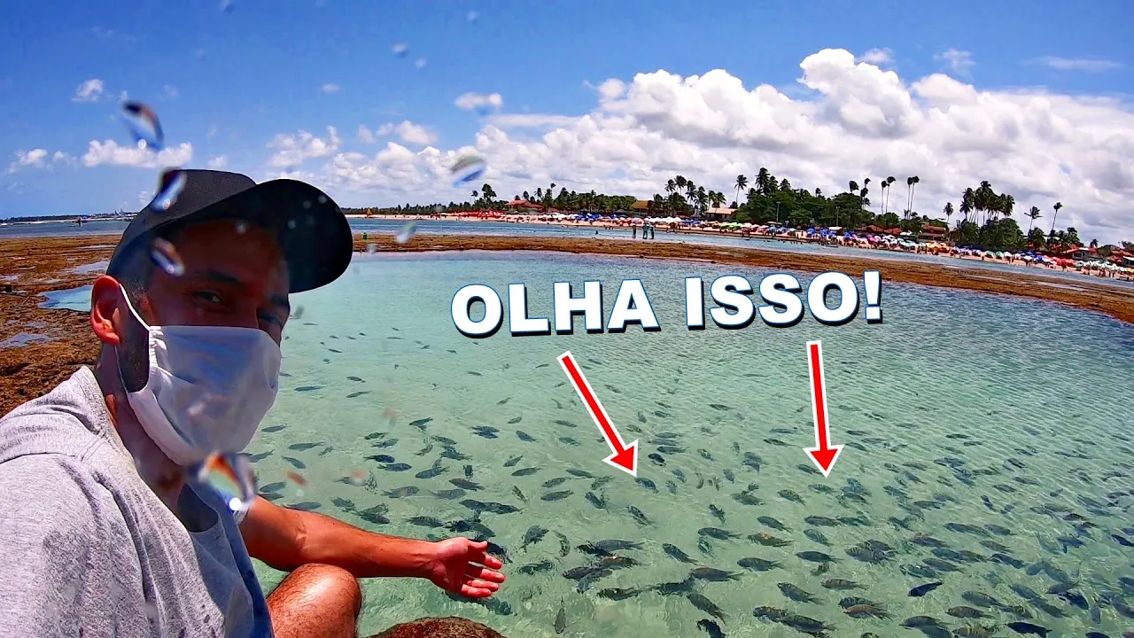 Como está PORTO DE GALINHAS após reabertura P/ Turismo? Passeio, Comércio, hospedagem | COM PREÇOS