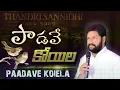 Download Lagu పాడవే కోయిల NEW SONG BY THANDRI SANNIDHI MINISTRIES