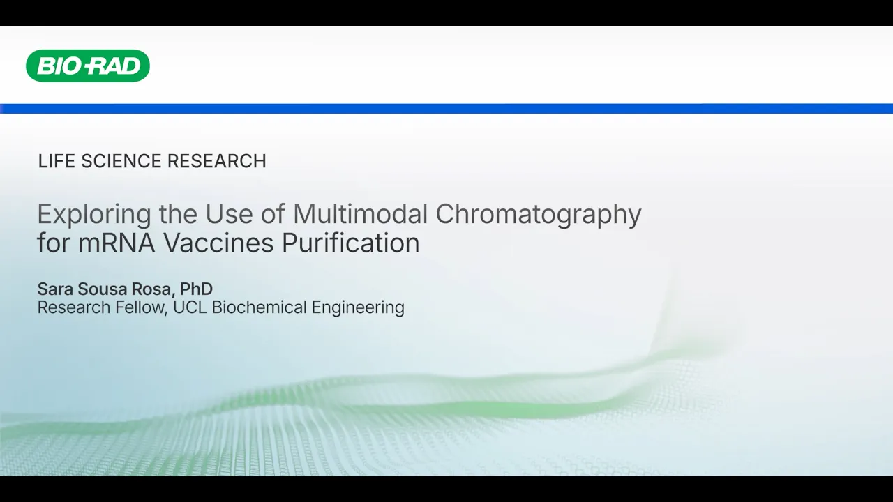 Exploring the Use of Multimodal Chromatography for the Purification of mRNA Vaccines