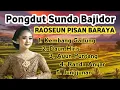 Download Lagu Lagu Sunda Bajidor Daun Hiris || Ayun Puntang Dangdut Bajidoran Terbaru Viral Di Tiktok #populer