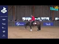 NRHA STALLION AUCTION