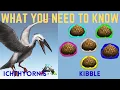 Ark Survival Evolved - Ichthyornis Kibble WHAT YOU NEED TO KNOW