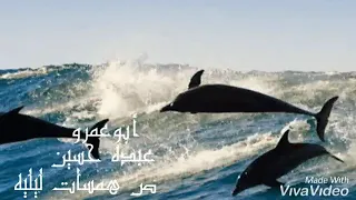 اصاله  ياليلى اه دندنها