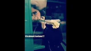 حبيبي الشوك اذاني 