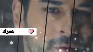 عمرك ما حبتني دندنها