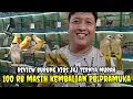 Download Lagu Update harga burung di kios jkj hari minggu membludak pasar burung pramuka