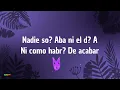 Vicente Fernández - La Muerte De Un Gallero (Letra)