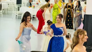 طارق شيخاني اخ جئما Tarek Shexani Ax Çêmâ اغاني الحياني Music اكسبلور Wedding Live 