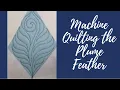 Machine Quilting the Plume Feather Motif The Echoes Curves Free-motion Challenge