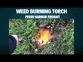 I Test This Powerful Weed Burning Torch From Harbor Freight