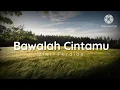 Download Lagu Bawalah Cintamu - Ziell Ferdian (lirik)