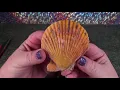 Finding a Rare Pea Crab in an Oyster