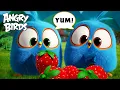 Download Lagu Every Time Angry Birds Got Hungry