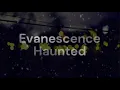 Evanescence - 05 Haunted