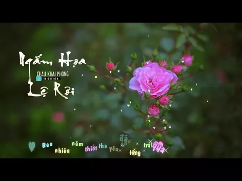 Download MP3 Ngắm Hoa Lệ Rơi - Châu Khải Phong [ Lyrics Video ]