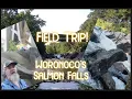 Exploring Woronoco A Hidden Gem of Western Massachusetts 1