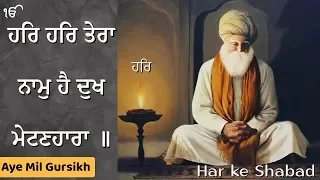 har har tera naam hai dukh metin hara full shabad aye mil gursikh bhai dalbir singh ji