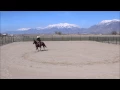 Ranch Sorting Fundamentals - Training Drill 2