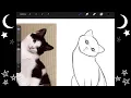 ｡･:*:･ﾟ★,｡･:*:･ﾟ☆ draw with me ｡･:*:･ﾟ★,｡･:*:･ﾟ☆ iPad sketching asmr 